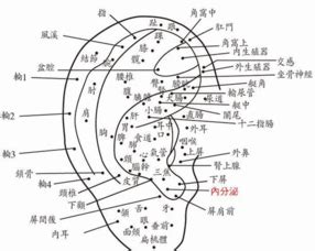 左耳垂有痣|左耳垂有痣的女人命运之谜